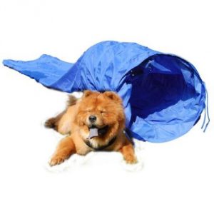 15-dog-agility-tunnel-pet-training-equipment-with-carry-case-blue.jpg