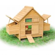 backyard-poultry-coop-wooden-hen-chicken-house.jpg