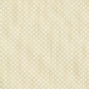 berkeley_beige_trellis_wallpaper_from_the_avalon_collection_by_brewster_home_fashions_c2bffba4-b45c-4333-bbae-c90a848bd9d3.jpg