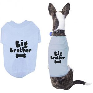 big-brother-pet-t-shirt-cute-dog-apparel-puppy-cloth-funny-sky-blue-dog-tee.jpg