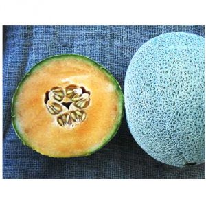 melon-cantaloupe-imperial-45-seed.jpg