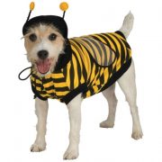 pet-bumblebee-costume-large.jpg