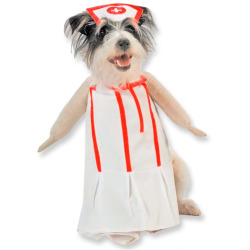 168386-nurse-pet-costume.jpg