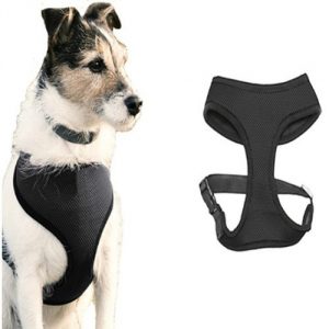 adjustable-mesh-pet-harness-for-your-small-pet-ordog.jpg