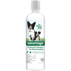 advantage-treatment-shampoo-dogs-24-oz.jpg