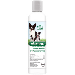 advantage-treatment-shampoo-dogs-8-oz.jpg