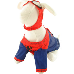 costume-spiderman-pet-combo.jpg