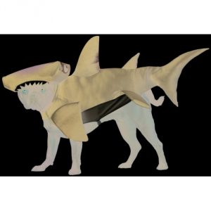 hammerhead-shark-pet-animal-pl.jpg