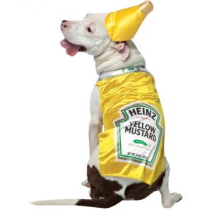 pet-costume-heinz-mustard.jpg