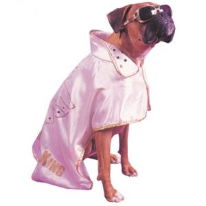 pet-costume-hound-dog.jpg