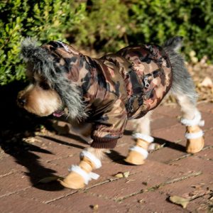 pet-life-insulated-dog-coat-and-duggz-boots-bundle-4a78280d-140c-4277-9f32-baa57ffd11bf_600.jpg