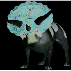 triceratops-pet-animal-planet.jpg