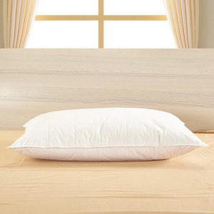 washable-cotton-covered-silk-lined-pillow.jpg